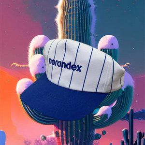 Stripped nordex building snapback